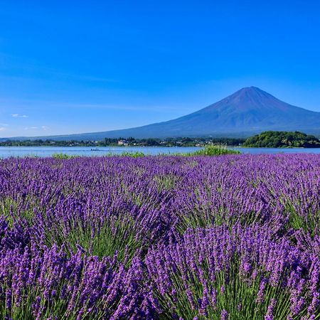 グランファーム富士河口湖 Granfarm Fujikawaguchiko Hotel Eksteriør billede